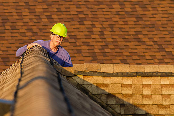 Roof Gutter Cleaning in French Camp, CA